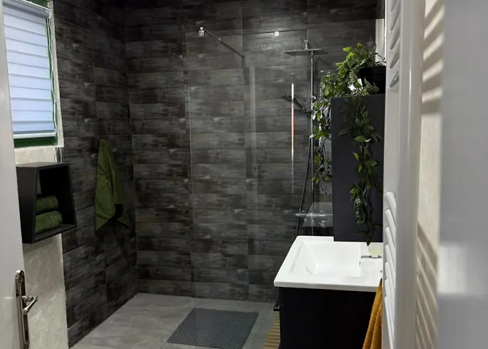 Barrique Sa Zatvorenim Bazenom * 斯梅代雷沃