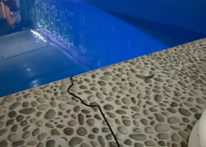 公寓 Barrique Sa Zatvorenim Bazenom *